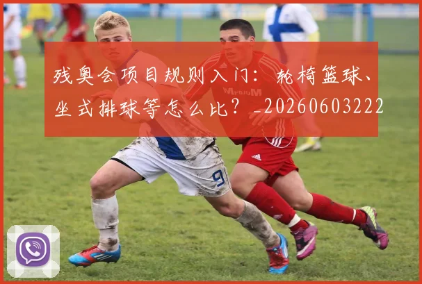 残奥会项目规则入门：轮椅篮球、坐式排球等怎么比？_20260603222626_20260707152806