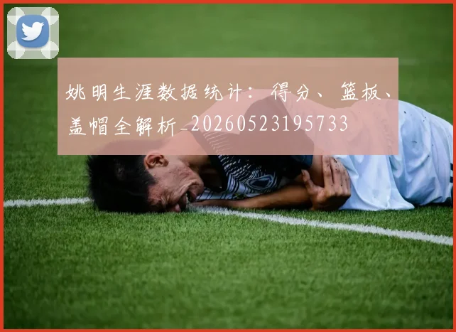 姚明生涯数据统计：得分、篮板、盖帽全解析_20260523195733